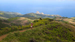 Waihee Ridge Trail